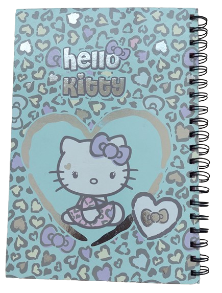 Class Character Spiral Hard Cover Note Book -B5 , 80 Sheets Ass Colours