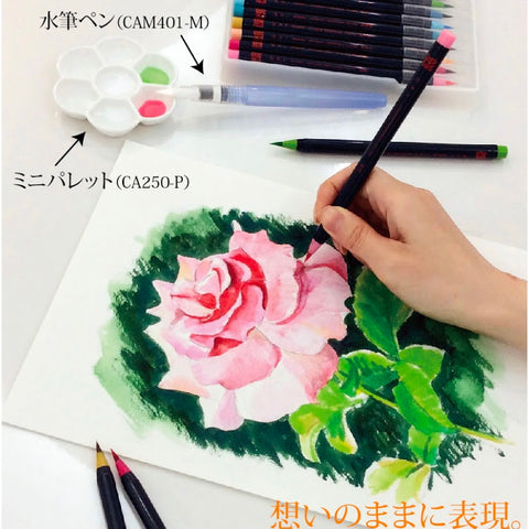 Akashiya Sai Coloring Brush Pen, 5 Luster Color Set