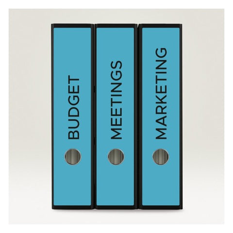 Avery Wide Filing Labels Permanent-Blue ,20 Sheets ,Long ,W 61 mm x H 297 mm L4753-20