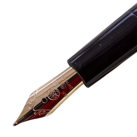 Kaweco 14 kt. Gold Nib EYEDROPPER Ebonite Fountain Pen F 0.7 mm